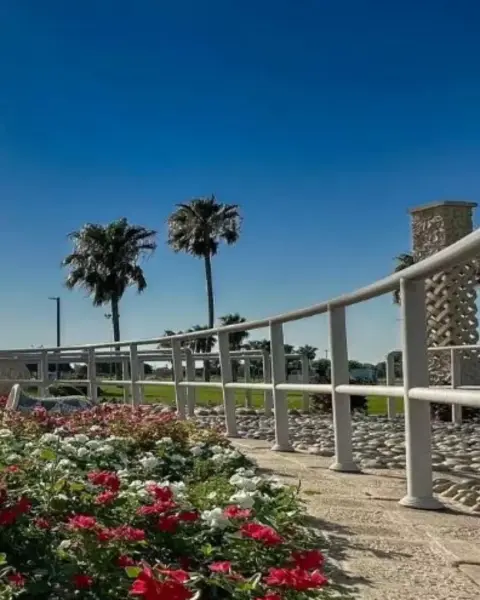 الجبيل وجهة تتميز بالجمال والشواطئ الرائعة في المملكة